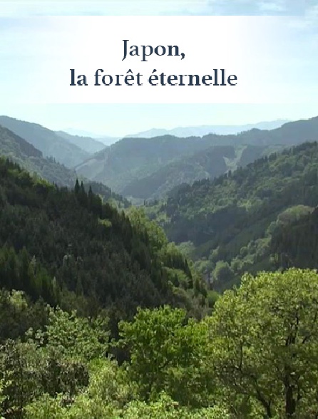 Japon, la forêt éternelle