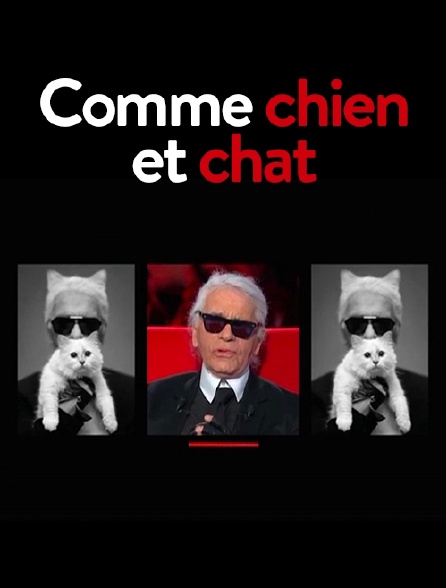 Comme chien et chat