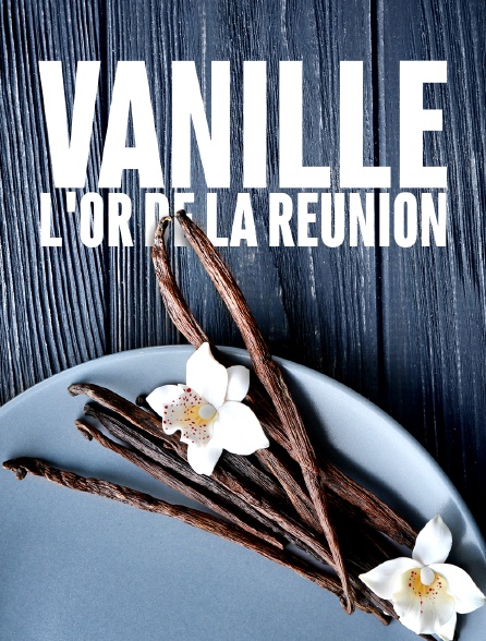Vanille, l'or de La Réunion