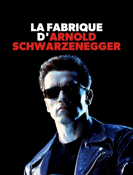 La fabrique d'Arnold Schwarzenegger