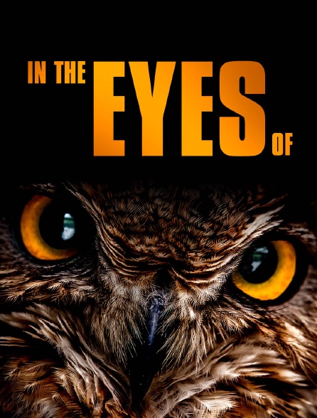 In the Eyes of