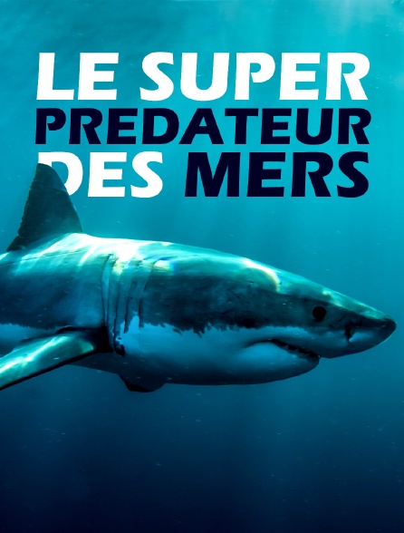 Le super-prédateur des mers