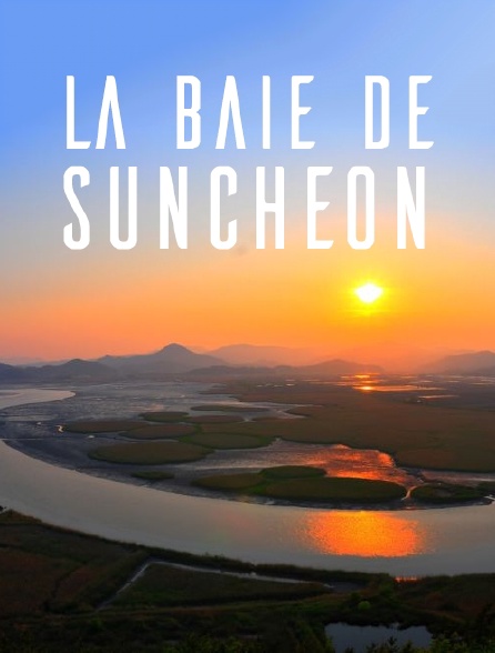 La baie de Suncheon