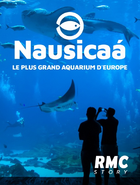 RMC Story - Nausicaa, le plus grand aquarium d'Europe