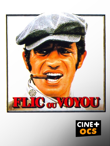 CINÉ Cinéma - Flic ou voyou