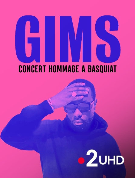 France 2 UHD - Gims : Concert hommage à Basquiat
