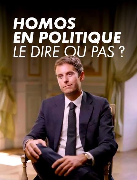 france.tv - Homos en politique, le dire ou pas ?