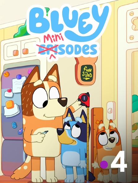 France 4 - Bluey Minisodes