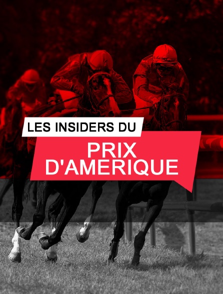 Les insiders du Prix d'Amérique