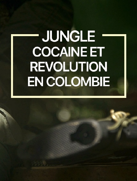 Jungle, cocaïne et révolution en Colombie : au coeur de la plus vieille guérilla du monde