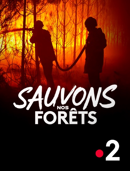 France 2 - Sauvons nos forêts