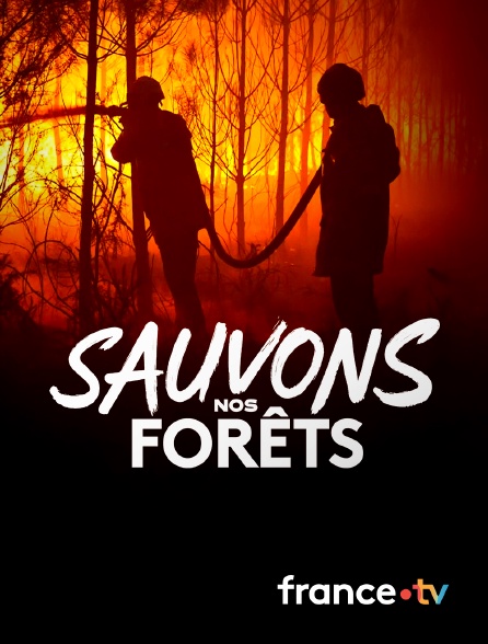 france.tv - Sauvons nos forêts en replay