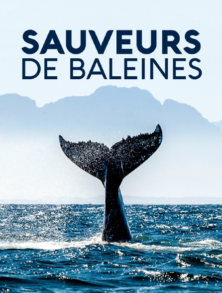 Sauveurs de baleines