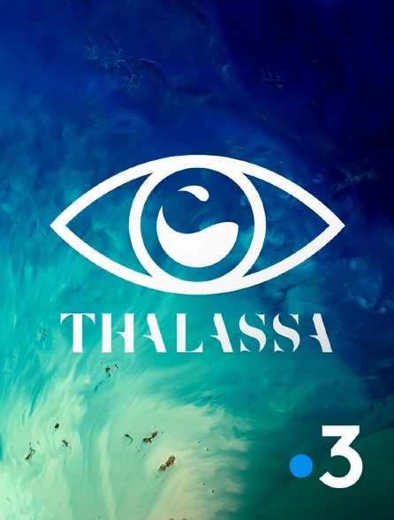 France 3 - Thalassa