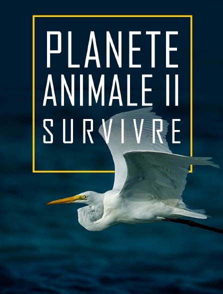 Planète animale 2 : Survivre