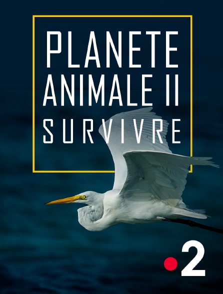 France 2 - Planète animale 2 : Survivre