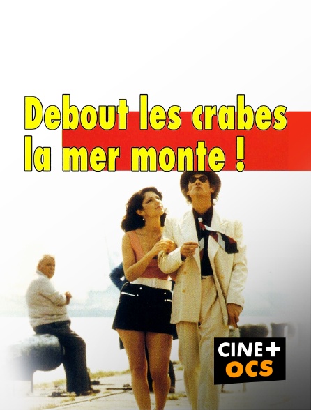 CINÉ Cinéma - Debout les crabes, la mer monte !