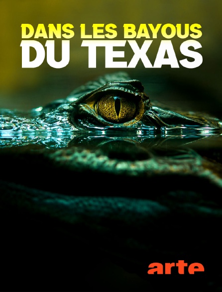 Arte - Dans les bayous du Texas