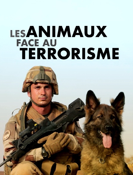 Les animaux face au terrorisme