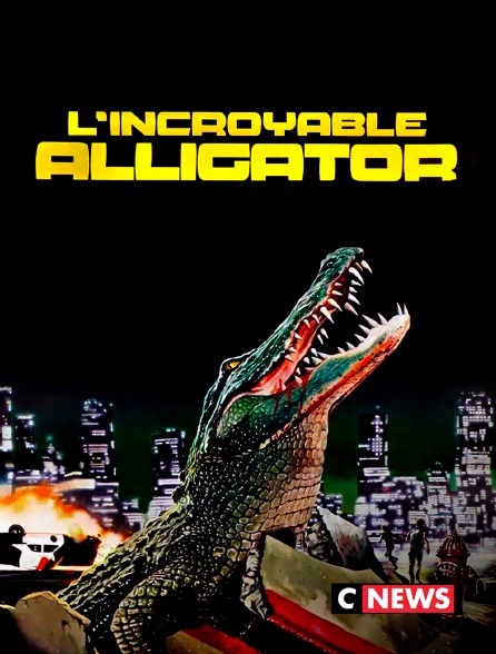 CNEWS - L'incroyable alligator