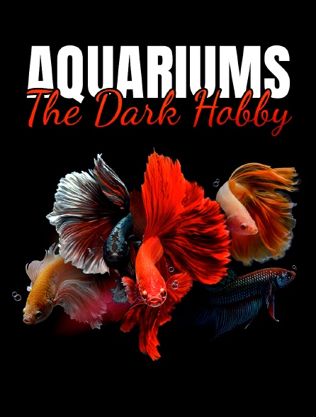 Aquariums : The Dark Hobby