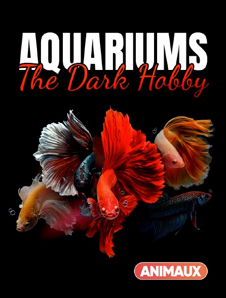 Animaux - Aquariums : The Dark Hobby