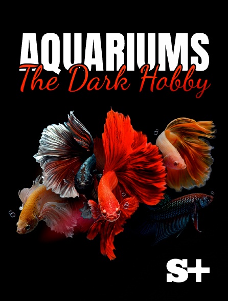 Society+ - Aquariums : The Dark Hobby