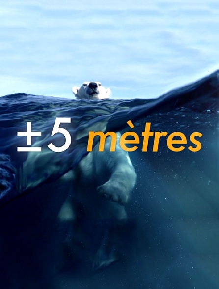 A +/- 5 mètres de la surface des océans