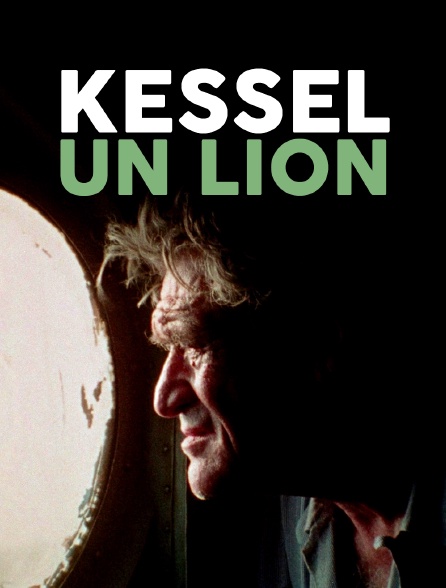 Kessel, un lion