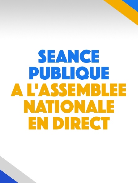 Séance publique à l'Assemblée nationale en direct