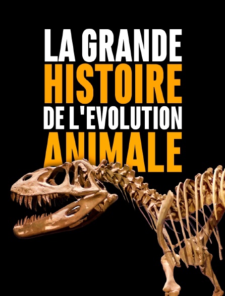 La grande histoire de l'évolution animale