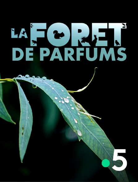 France 5 - La forêt de parfums