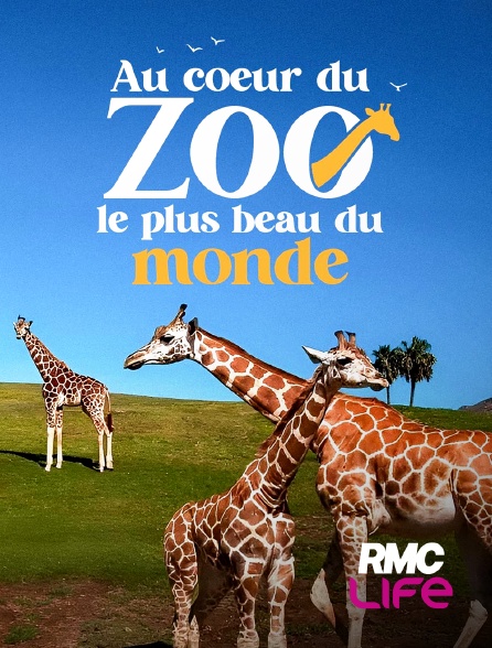 RMC Life - Au coeur du zoo le plus beau du monde
