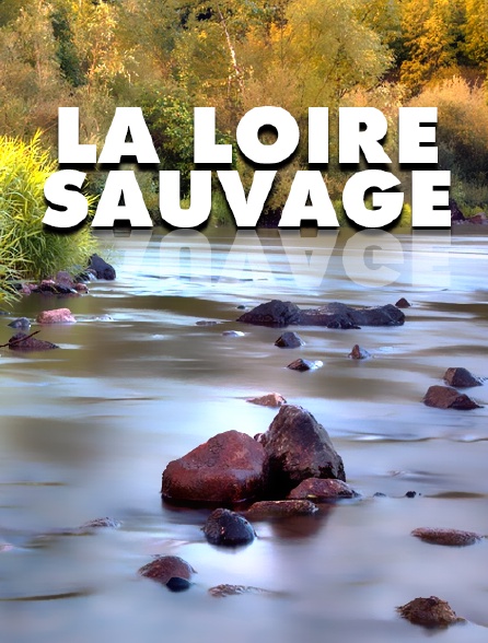 La Loire sauvage
