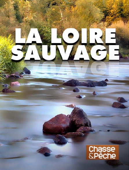 Chasse et pêche - La Loire sauvage