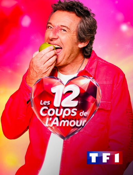 TF1 - Les 12 coups de l'amour