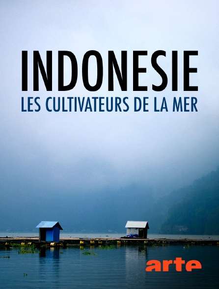 Arte - Indonésie, les cultivateurs de la mer