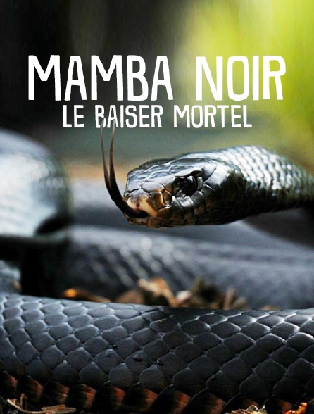 Black Mamba: Kiss Of Death