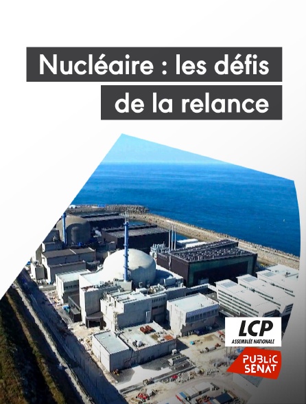 LCP Public Sénat - Nucléaire : les défis de la relance