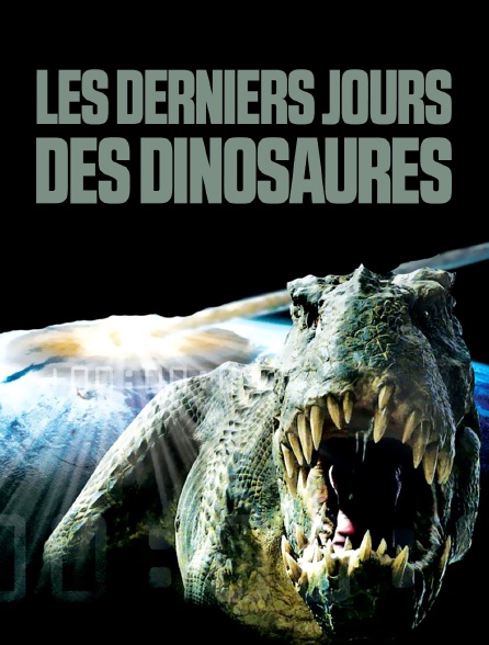 Les Derniers Jours Des Dinosaures En Streaming Molotov Tv