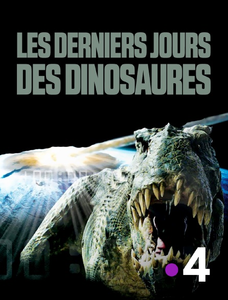 France 4 - Les derniers jours des dinosaures