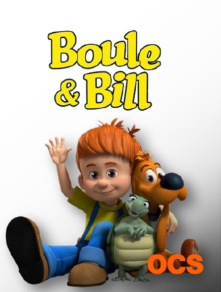 Boule et Bill 3D, Séries