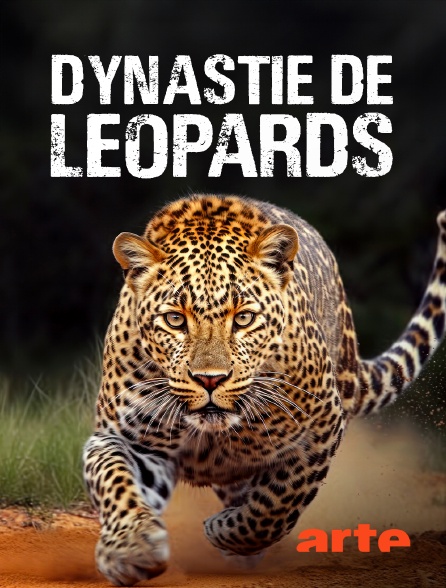 Arte - Dynastie de léopards : La guerre du trône