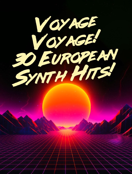 Voyage Voyage! 30 European Synth Hits!