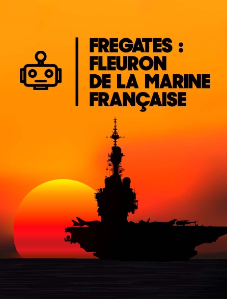 Frégates : fleuron de la marine française