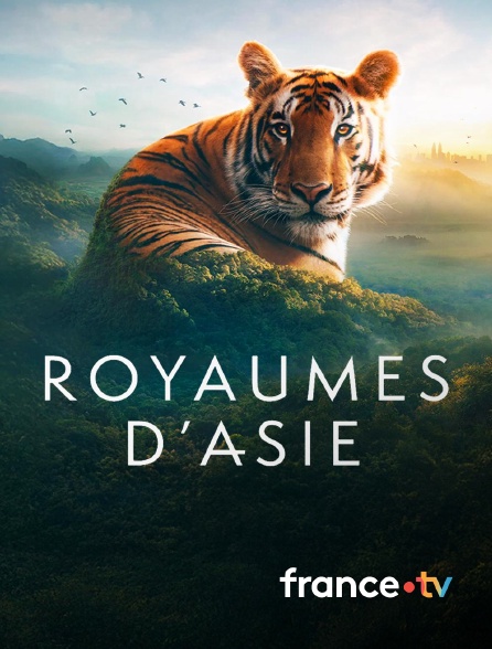 france.tv - Royaumes d'Asie