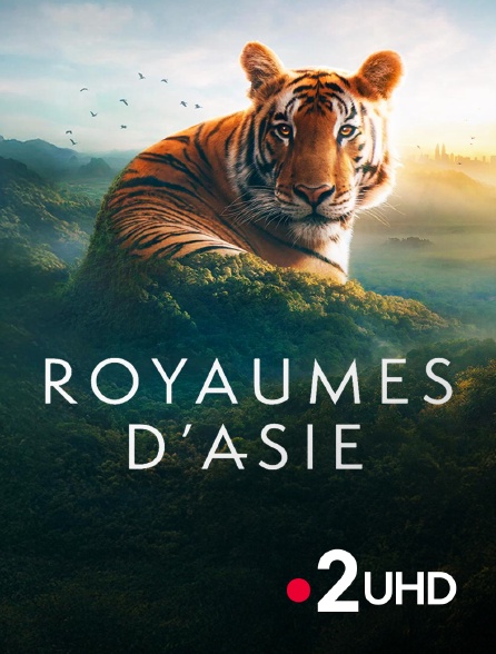 France 2 UHD - Royaumes d'Asie