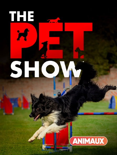 Animaux - The Pet Show