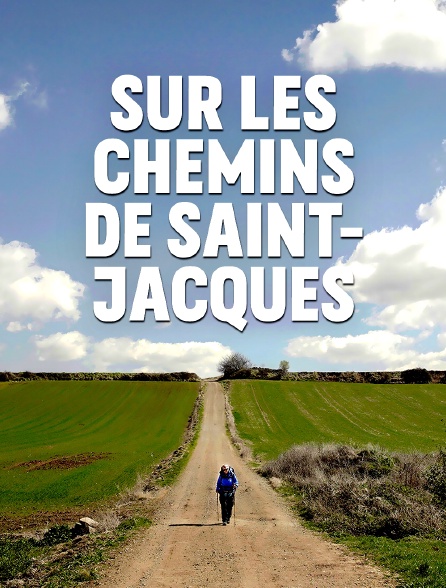 Sur les chemins de Saint-Jacques
