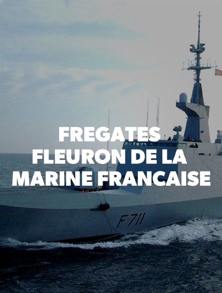 Frégates : fleuron de la marine française